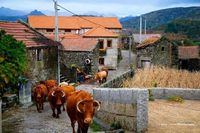 Casa Albelo Do Gerês *